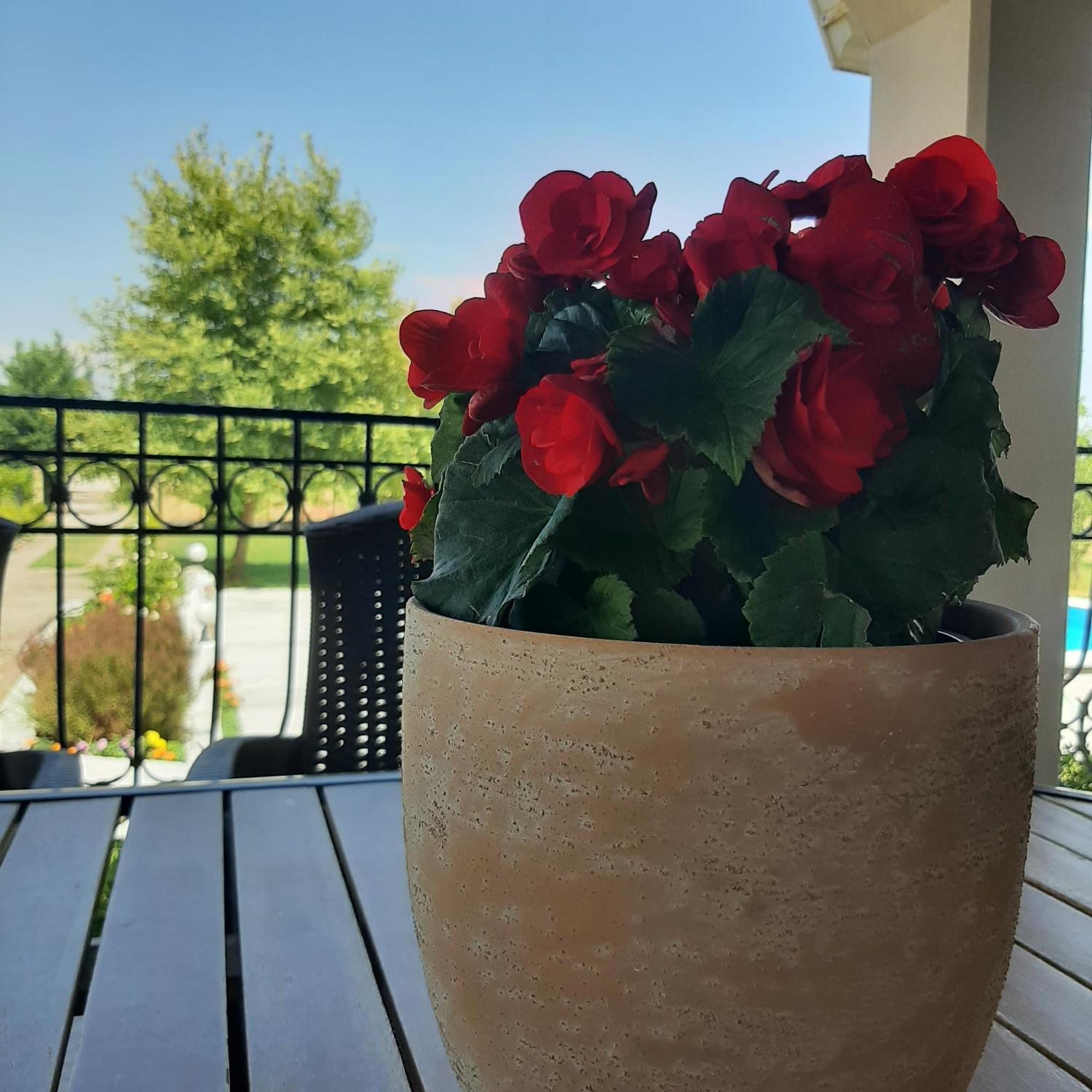 Αρχοντικό Παπανικολάου Villa Ligaria  Bagian luar foto