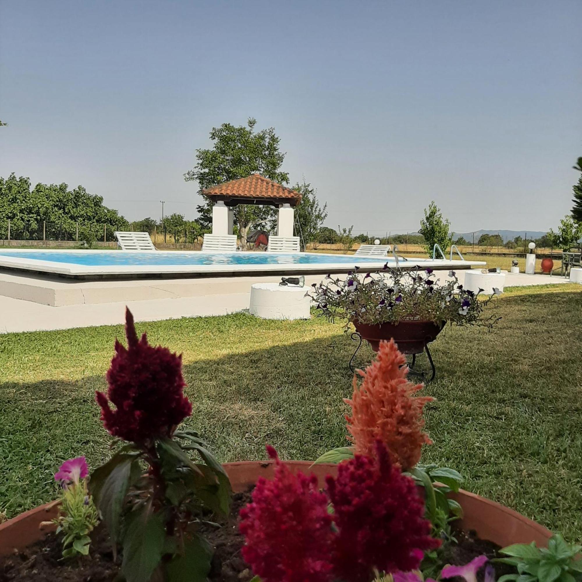 Αρχοντικό Παπανικολάου Villa Ligaria  Bagian luar foto